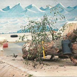 Mandy 24th August 2001