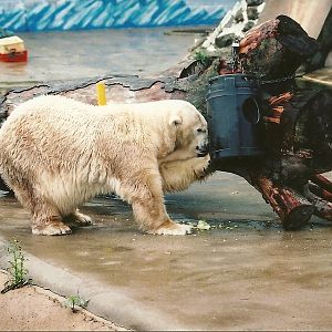 Mandy 13th September 2001