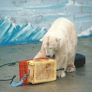 Mandy 13th September 2001