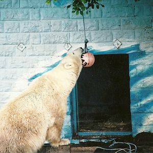 Mandy 13th September 2001