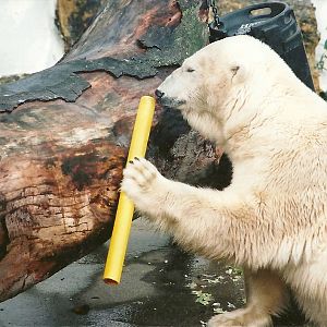 Mandy 13th September 2001