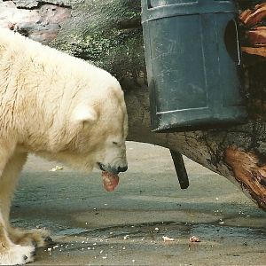 Mandy 13th September 2001