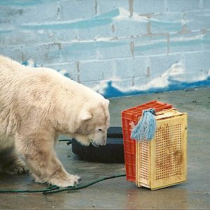 Mandy 13th September 2001