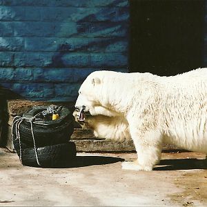 Mandy 14th September 2001