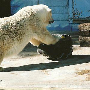 Mandy 14th September 2001