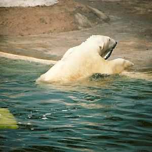 Mandy 14th September 2001