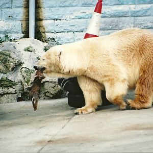 Mandy 23rd March 2002