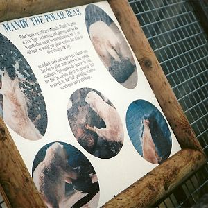 Signage about Mandy circa 2003