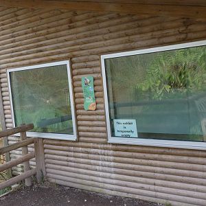 Gibbon House 15 February 2012