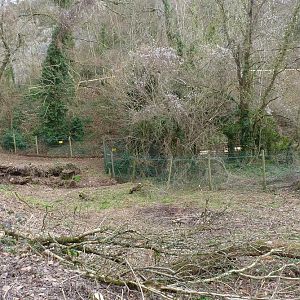 Lemur Wood 15 February 2012