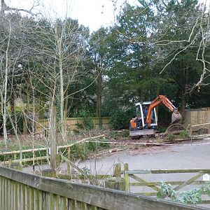 Between the Rhinos and Swamp Monkeys 15 February 2012