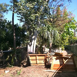 zoo construction 2012