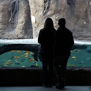 couple with nile croc - Feb 2012