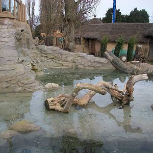 Small-clawed Otter exhibit 17th February 2012