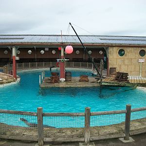 Where the Killer Whale once plunged, 17th February 2012