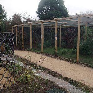 New Gardens and Aviaries at Bristol, 06/02/12
