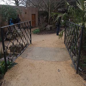 New Gardens and Aviaries at Bristol, 06/02/12