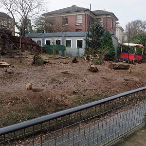 Prairie Marmot and Pudu Paddock at Bristol, 06/02/12