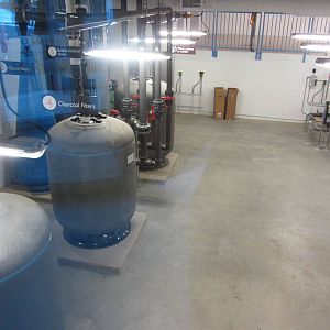 Penguin Plunge Sneak Peak February 16th