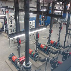 Penguin Plunge Sneak Peak February 16th