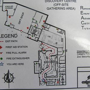 Penguin Plunge Sneak Peak February 16th