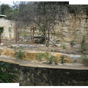 tiger exhibit remodel - Feb 2012