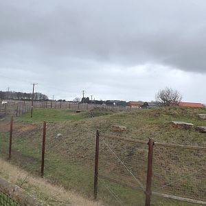 Lion Country at Yorkshire Wildlife Park 18/02/12