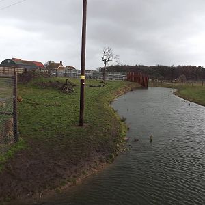 Lion Country at Yorkshire Wildlife Park 18/02/12