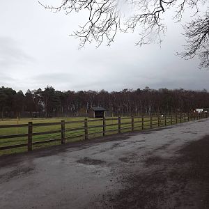 General view at Yorkshire Wildlife Park 18/02/12