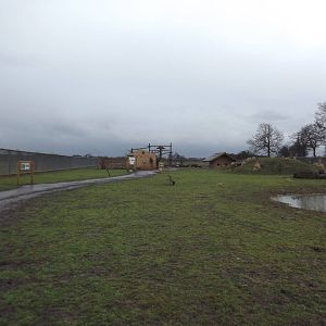 South American Viva at Yorkshire Wildlife Park 18/02/12