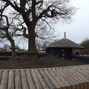 Marmoset enclosure at Yorkshire Wildlife Park 18/02/12