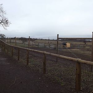 Sitatunga enclosure at Yorkshire Wildlife Park 18/02/12