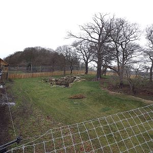 Land of the Tiger at Yorkshire Wildlife Park 18/02/12
