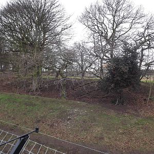 Land of the Tiger at Yorkshire Wildlife Park 18/02/12