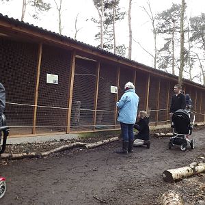 Enclosures at Yorkshire Wildlife Park 18/02/12