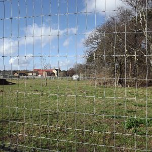 African Hunting Dog enclosure at Yorkshire Wildlife Park 18/02/12