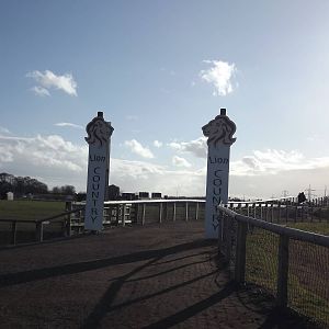 Lion country at Yorkshire Wildlife Park 18/02/12