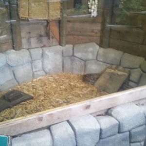 Feb. 2012-Boa Constrictor exhibit