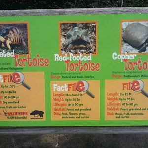 Feb. 2012-Tortoise Signs at the Children's Zoo
