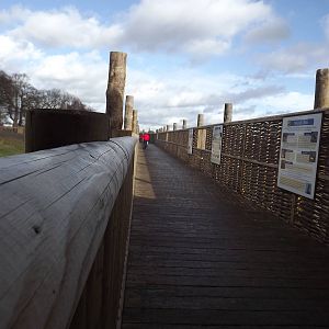 Land of the Tiger at Yorkshire Wildlife Park 18/02/12