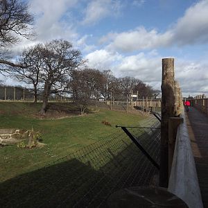 Land of the Tiger at Yorkshire Wildlife Park 18/02/12
