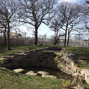 Land of the Tiger at Yorkshire Wildlife Park 18/02/12