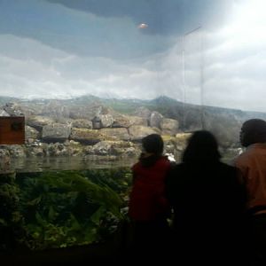 Feb. 2012-Arctic Islands