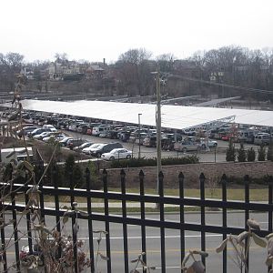 Feb. 2012-Zoo Parking Lot