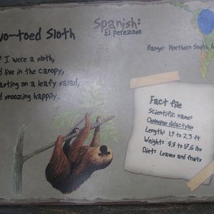Feb. 2012-Sloth Sign at Discovery Forest