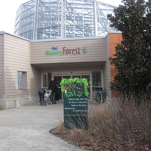 Feb. 2012-Discovery Forest Entrance