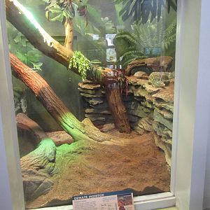 Feb. 2012-Ornate Monitor exhibit