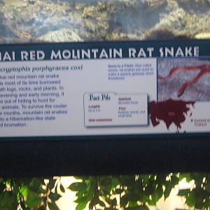 Feb. 2012-Rat Snake Sign at the Reptile House