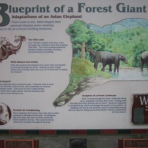 Sign at Elephant Reserve