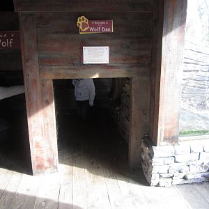 Feb. 2012-Wolf Woods-Wolf Den